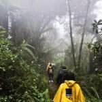 Paramo Chingaza, Calera, Guasca (4)
